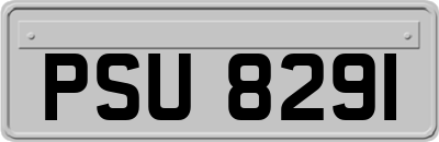 PSU8291