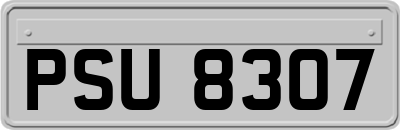 PSU8307