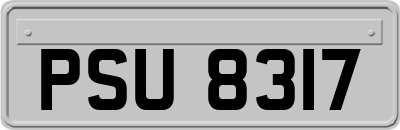 PSU8317