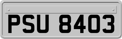 PSU8403