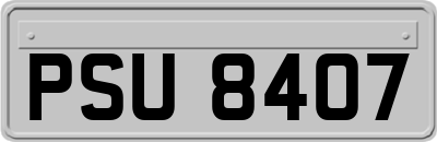 PSU8407