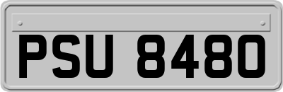 PSU8480