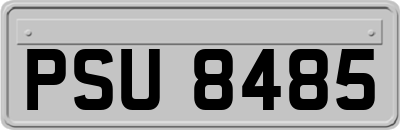 PSU8485