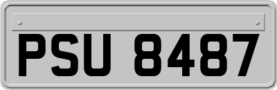 PSU8487
