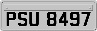 PSU8497