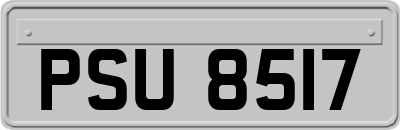 PSU8517