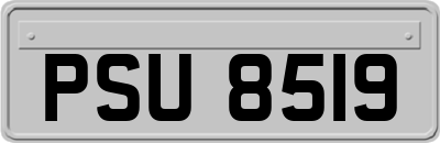 PSU8519