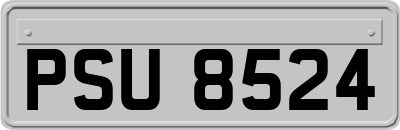PSU8524