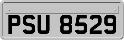 PSU8529