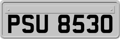 PSU8530