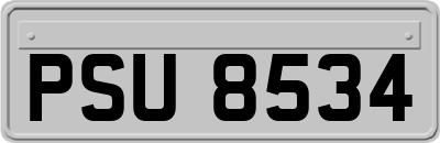 PSU8534