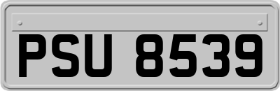 PSU8539