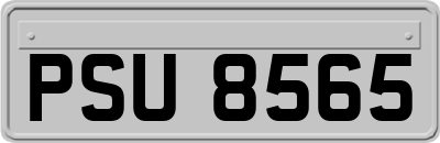 PSU8565