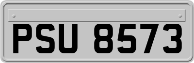 PSU8573