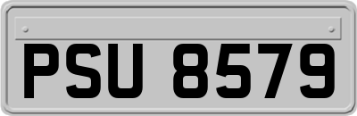 PSU8579