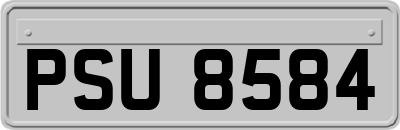 PSU8584