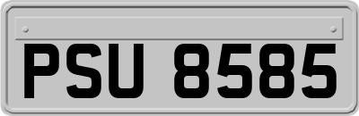 PSU8585