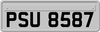 PSU8587