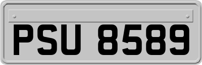 PSU8589