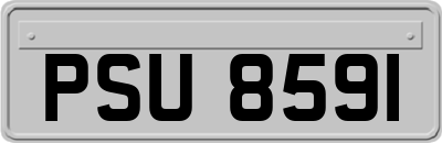 PSU8591