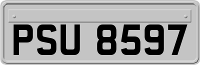 PSU8597
