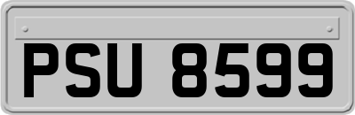 PSU8599