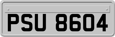 PSU8604