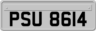 PSU8614