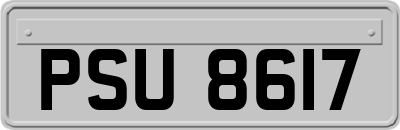 PSU8617