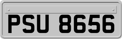 PSU8656
