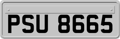 PSU8665