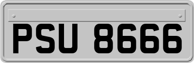PSU8666