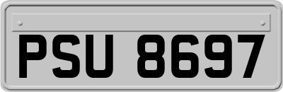 PSU8697
