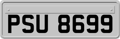 PSU8699