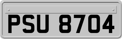 PSU8704
