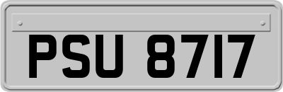 PSU8717