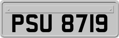 PSU8719