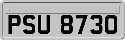 PSU8730