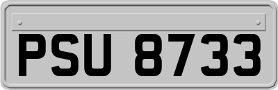 PSU8733