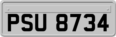 PSU8734