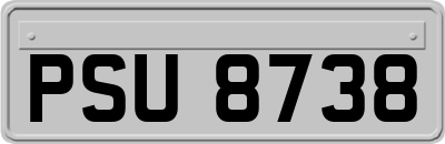 PSU8738