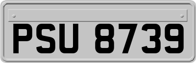 PSU8739