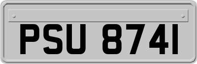 PSU8741