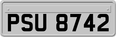 PSU8742