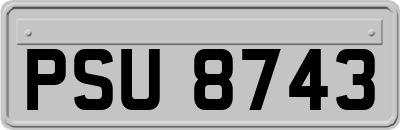 PSU8743