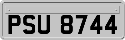PSU8744