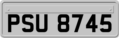 PSU8745
