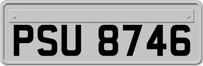PSU8746