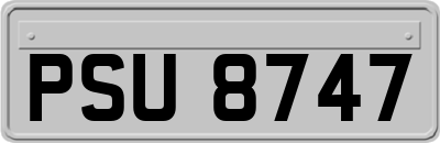 PSU8747
