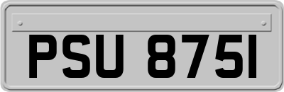 PSU8751